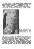 giornale/CFI0353878/1942/v.2/00000388