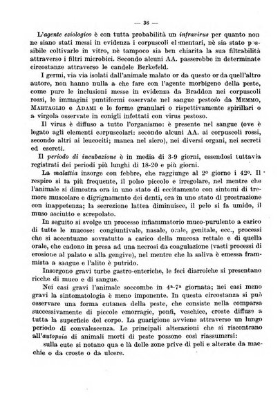 Giornale di batteriologia e immunologia bollettino clinico ed amministrativo dell'Ospedale Maria Vittoria