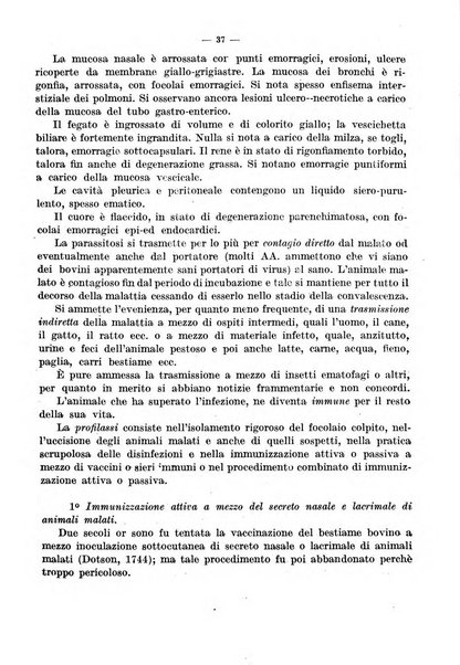 Giornale di batteriologia e immunologia bollettino clinico ed amministrativo dell'Ospedale Maria Vittoria