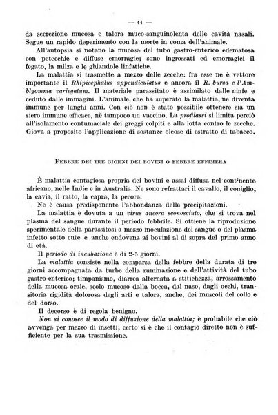 Giornale di batteriologia e immunologia bollettino clinico ed amministrativo dell'Ospedale Maria Vittoria