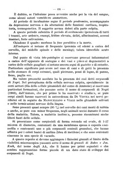 Giornale di batteriologia e immunologia bollettino clinico ed amministrativo dell'Ospedale Maria Vittoria