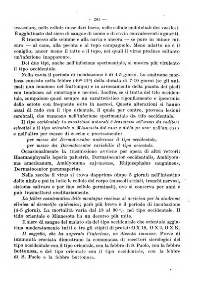 Giornale di batteriologia e immunologia bollettino clinico ed amministrativo dell'Ospedale Maria Vittoria