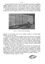 giornale/CFI0353878/1943/v.2/00000515