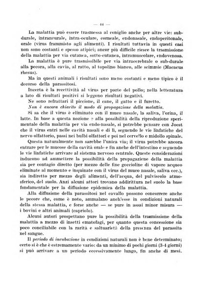 Giornale di batteriologia e immunologia bollettino clinico ed amministrativo dell'Ospedale Maria Vittoria