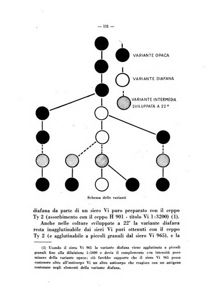 Giornale di batteriologia e immunologia bollettino clinico ed amministrativo dell'Ospedale Maria Vittoria