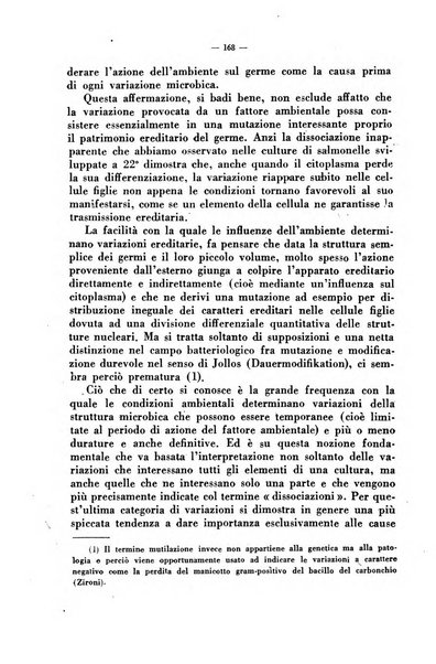 Giornale di batteriologia e immunologia bollettino clinico ed amministrativo dell'Ospedale Maria Vittoria