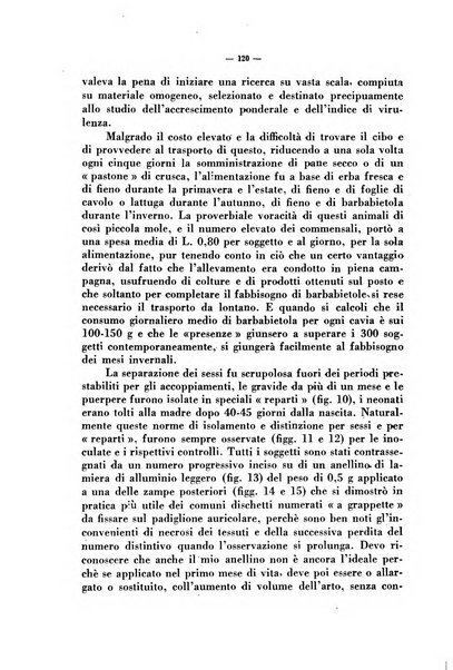 Giornale di batteriologia e immunologia bollettino clinico ed amministrativo dell'Ospedale Maria Vittoria