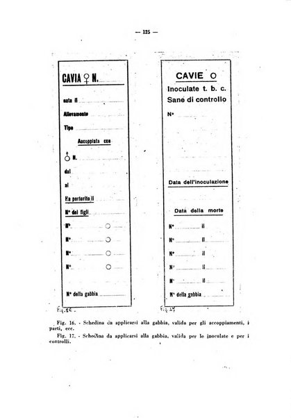 Giornale di batteriologia e immunologia bollettino clinico ed amministrativo dell'Ospedale Maria Vittoria