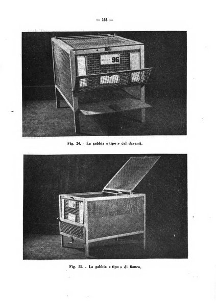 Giornale di batteriologia e immunologia bollettino clinico ed amministrativo dell'Ospedale Maria Vittoria