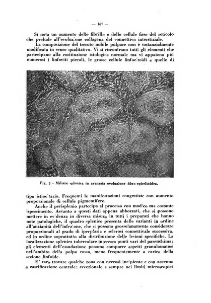 Giornale di batteriologia e immunologia bollettino clinico ed amministrativo dell'Ospedale Maria Vittoria