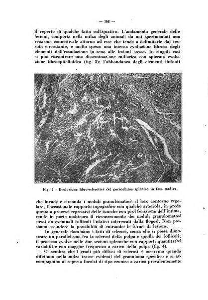 Giornale di batteriologia e immunologia bollettino clinico ed amministrativo dell'Ospedale Maria Vittoria