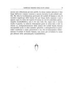 giornale/CFI0354001/1929/unico/00000015