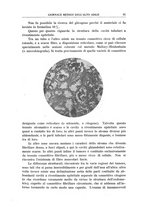 giornale/CFI0354001/1929/unico/00000713