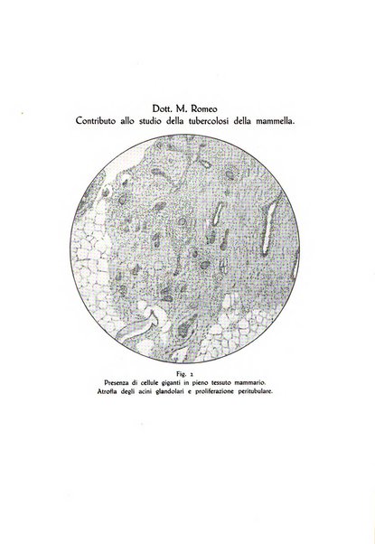 Giornale medico dell'Alto Adige