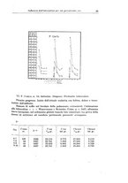 giornale/CFI0354001/1933/unico/00000037