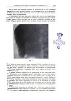 giornale/CFI0354001/1933/unico/00000345