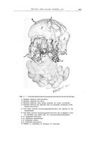 giornale/CFI0354001/1933/unico/00000447