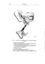 giornale/CFI0354001/1933/unico/00000452