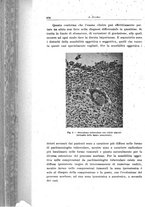 giornale/CFI0354001/1933/unico/00000718