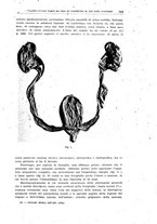 giornale/CFI0354001/1933/unico/00000799