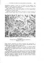 giornale/CFI0354001/1933/unico/00000921