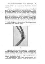 giornale/CFI0354001/1935/unico/00000051