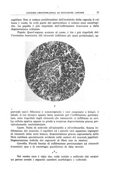 Giornale medico dell'Alto Adige