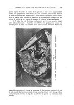 giornale/CFI0354001/1936/unico/00000137