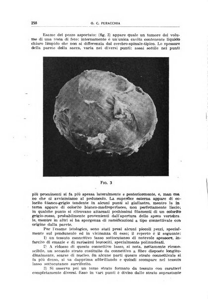 Giornale medico dell'Alto Adige