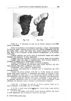 giornale/CFI0354001/1936/unico/00000587