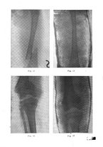 giornale/CFI0354001/1936/unico/00000636