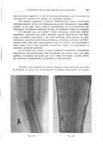 giornale/CFI0354001/1936/unico/00000639