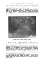 giornale/CFI0354001/1937/unico/00000391