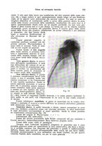 giornale/CFI0354001/1938/unico/00000175
