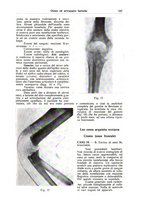 giornale/CFI0354001/1938/unico/00000179