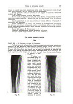 giornale/CFI0354001/1938/unico/00000191