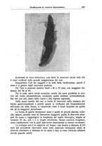 giornale/CFI0354001/1938/unico/00000285