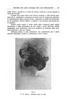 giornale/CFI0354001/1938/unico/00000349