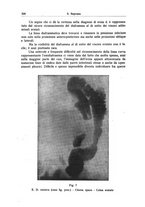 giornale/CFI0354001/1938/unico/00000354