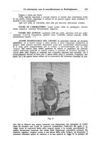 giornale/CFI0354001/1938/unico/00000539