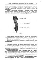 giornale/CFI0354001/1939/unico/00000019