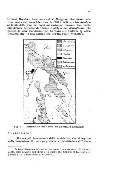 Fiume rivista semestrale della Società di studi fiumani in Fiume