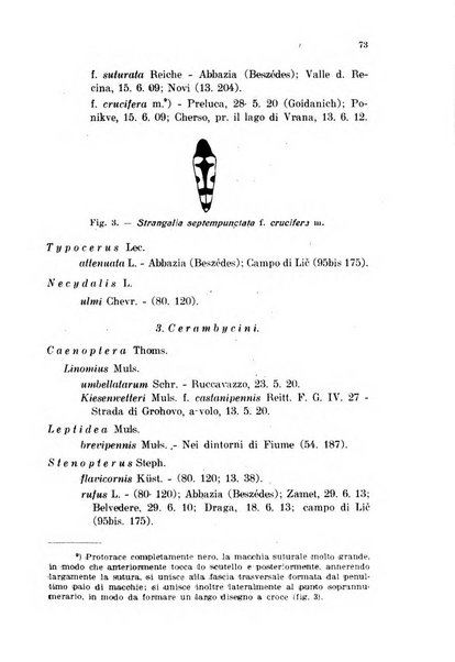 Fiume rivista semestrale della Società di studi fiumani in Fiume