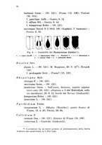 giornale/CFI0354593/1926/unico/00000082