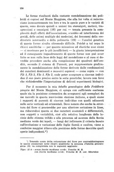 Fiume rivista semestrale della Società di studi fiumani in Fiume