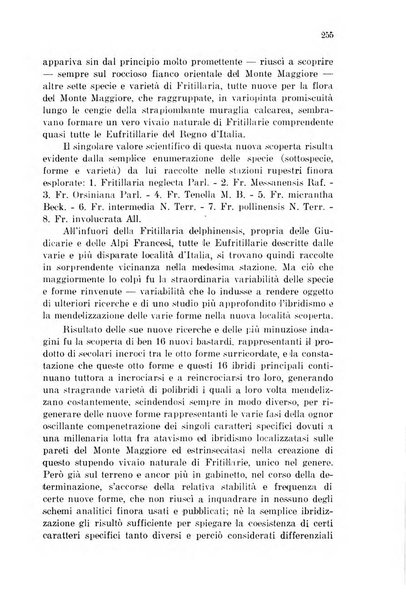 Fiume rivista semestrale della Società di studi fiumani in Fiume