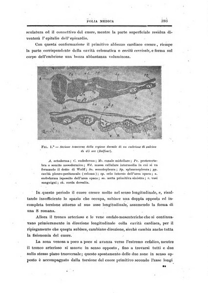 Folia medica periodico trimensile di patologia e clinica medica