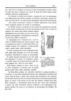 giornale/CFI0354704/1916/unico/00000503