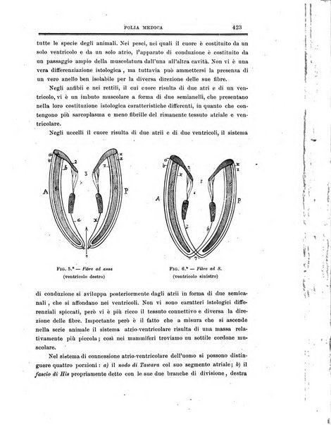 Folia medica periodico trimensile di patologia e clinica medica