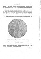 giornale/CFI0354704/1916/unico/00000509